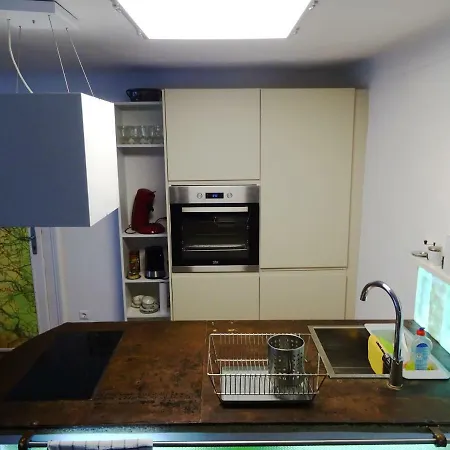 Center Apartment Gmunden